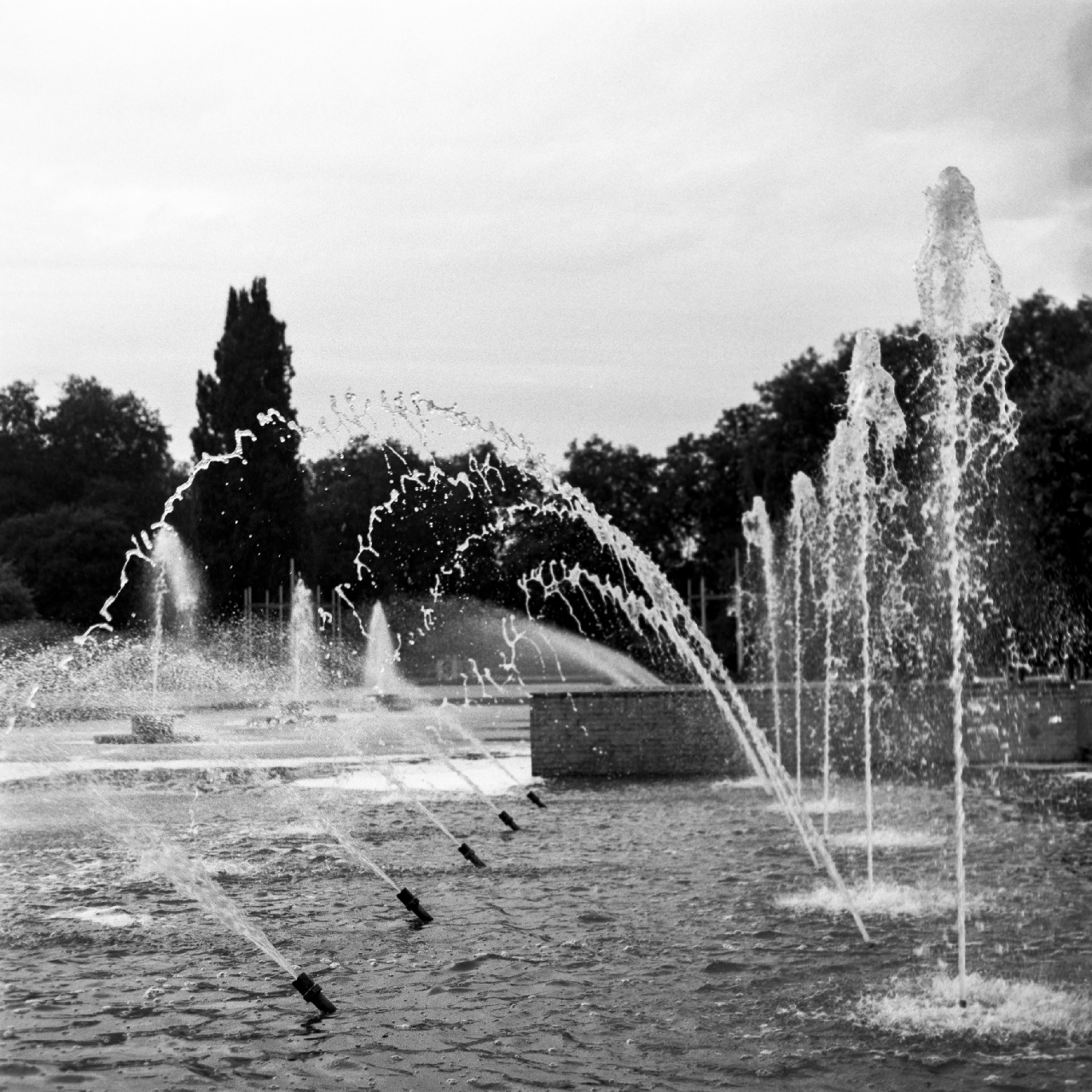 Water pool at Battersea park